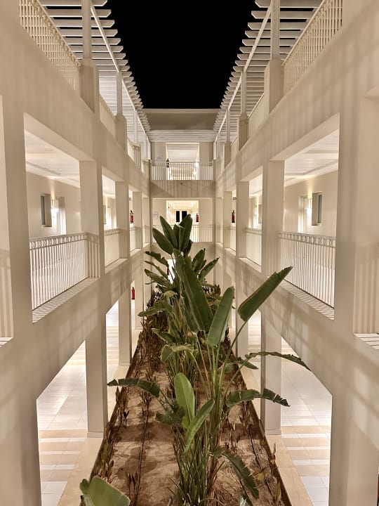 Sonstiges Jaz Aquaviva