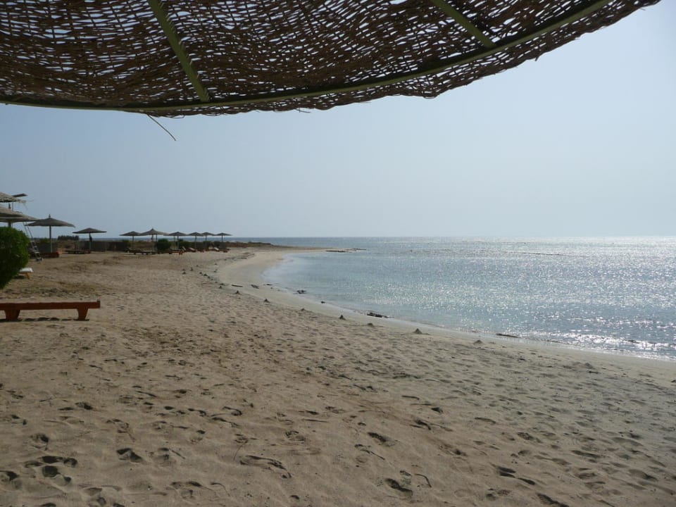 Unter dem Sonnenschirm Shams Alam Beach Resort