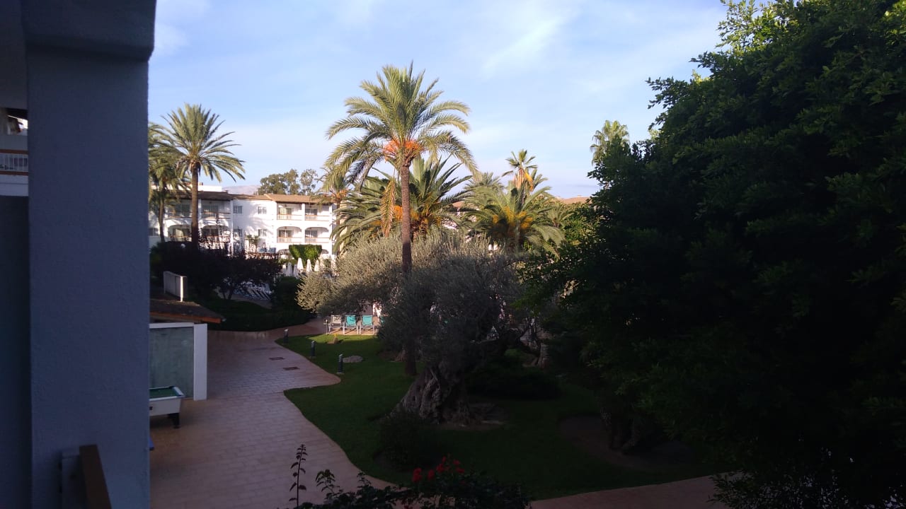 Ausblick Alcudia Garden Aparthotel