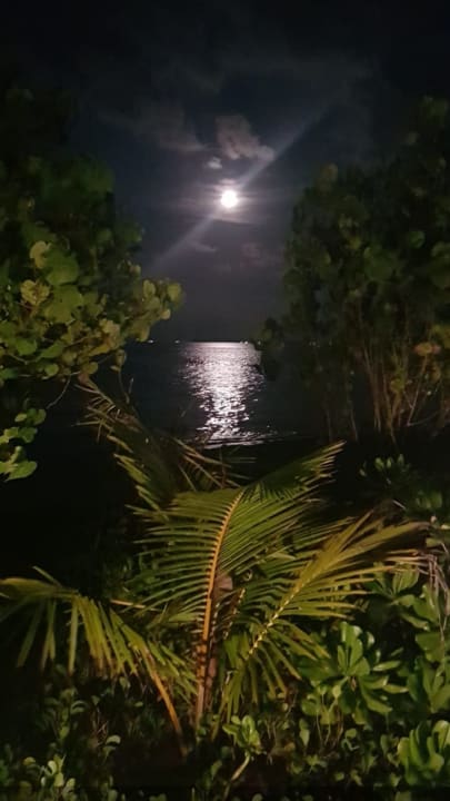 Ausblick Hotel Riu Atoll