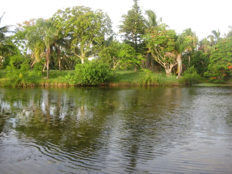 Super oder? Hotel Kondari Resort