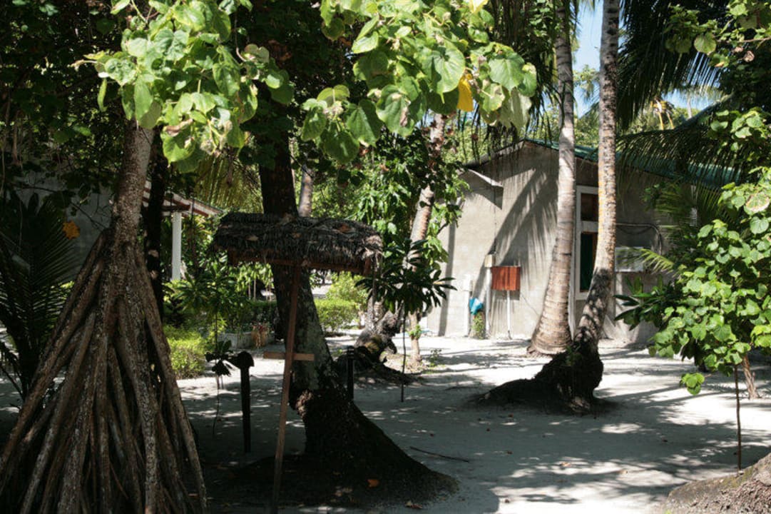 Eingang zur Staff Area Zimmer 134 Filitheyo Island Resort