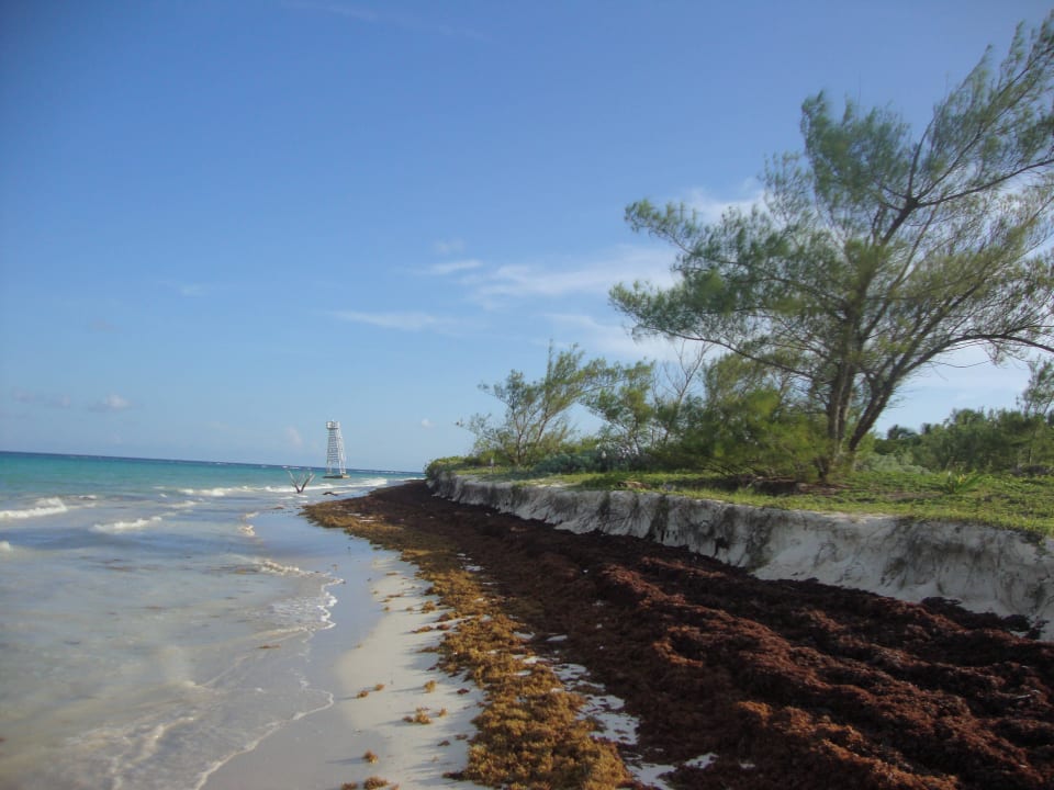 Hotel Catalonia Playa Maroma Catalonia Playa Maroma