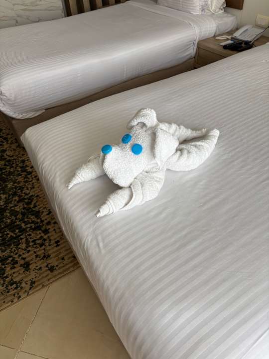 Zimmer Titanic Royal