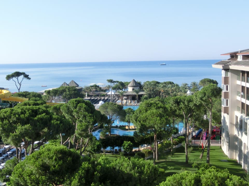 Ausblick vom Zimmer  Papillon Ayscha