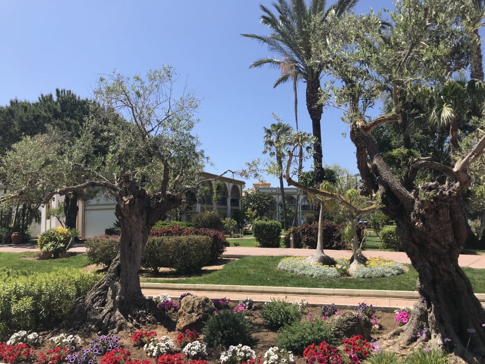 Gartenanlage Aldiana Club Andalusien