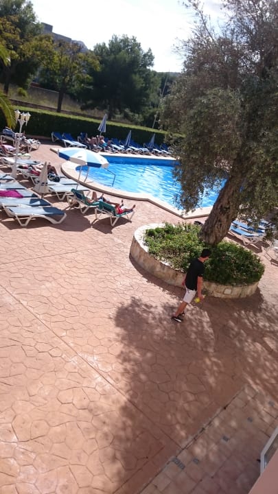 Pool THB Dos Playas - Adults only