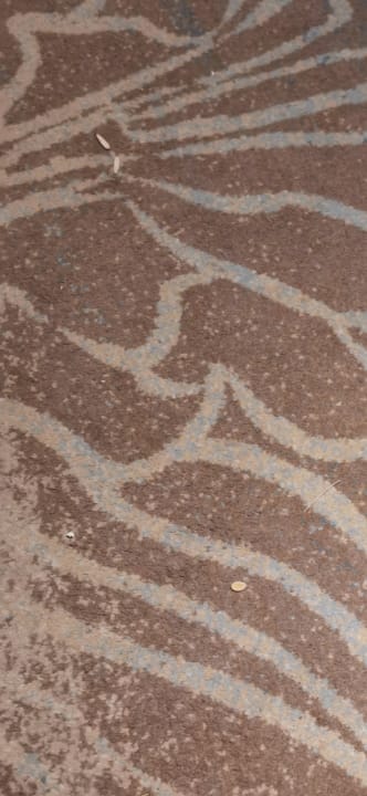 Sonstiges Hilton Garden Inn Ras Al Khaimah