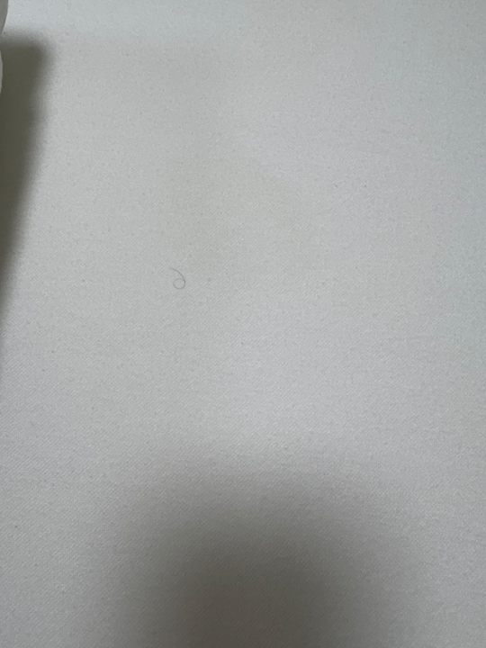 Zimmer Park Hotel & Gästehaus Rust