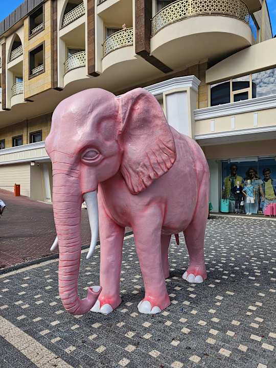 Außenansicht Crystal Prestige Elite