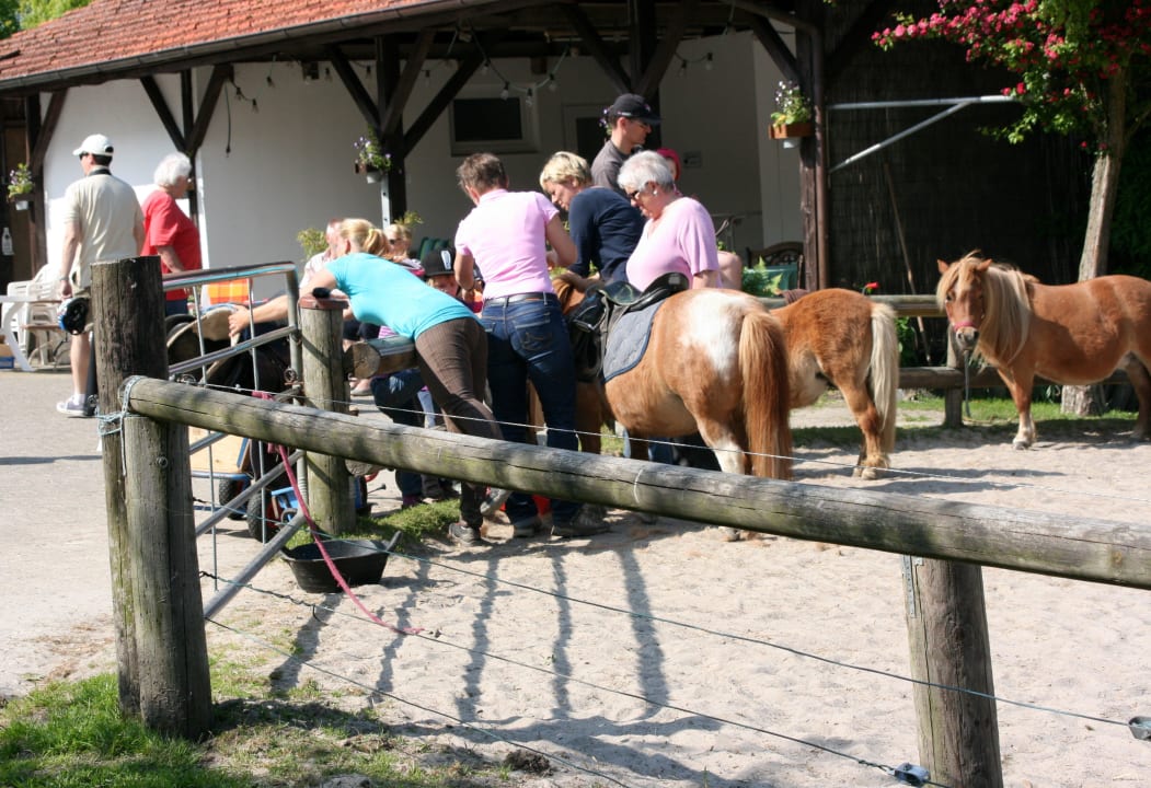 Pferdepflege vorm Reiten Ferienhof Upwarf