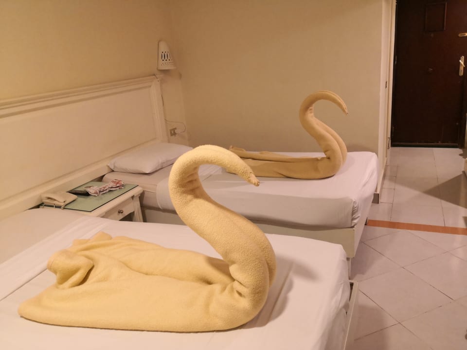 Zimmer Shams Safaga Resort