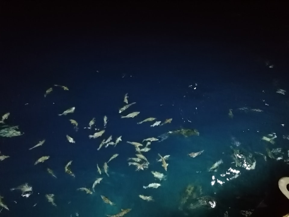 Strand Adaaran Select Meedhupparu Island Resort - Premium All Inclusive