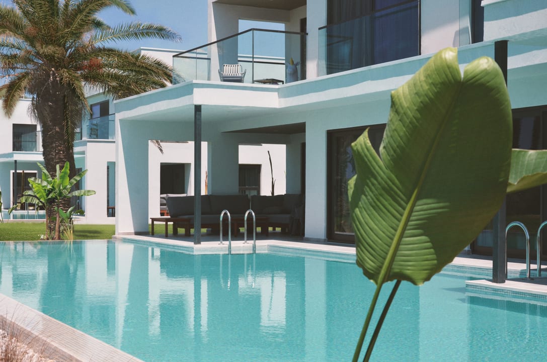 Zimmer Paloma Finesse