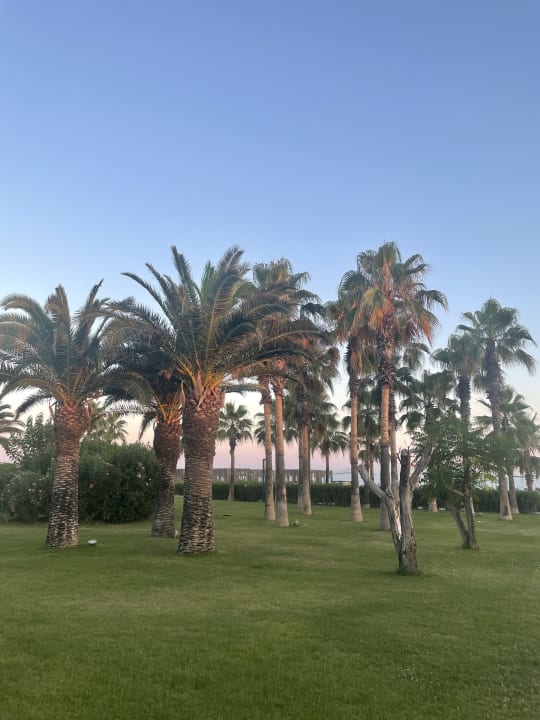 Außenansicht Paloma Finesse