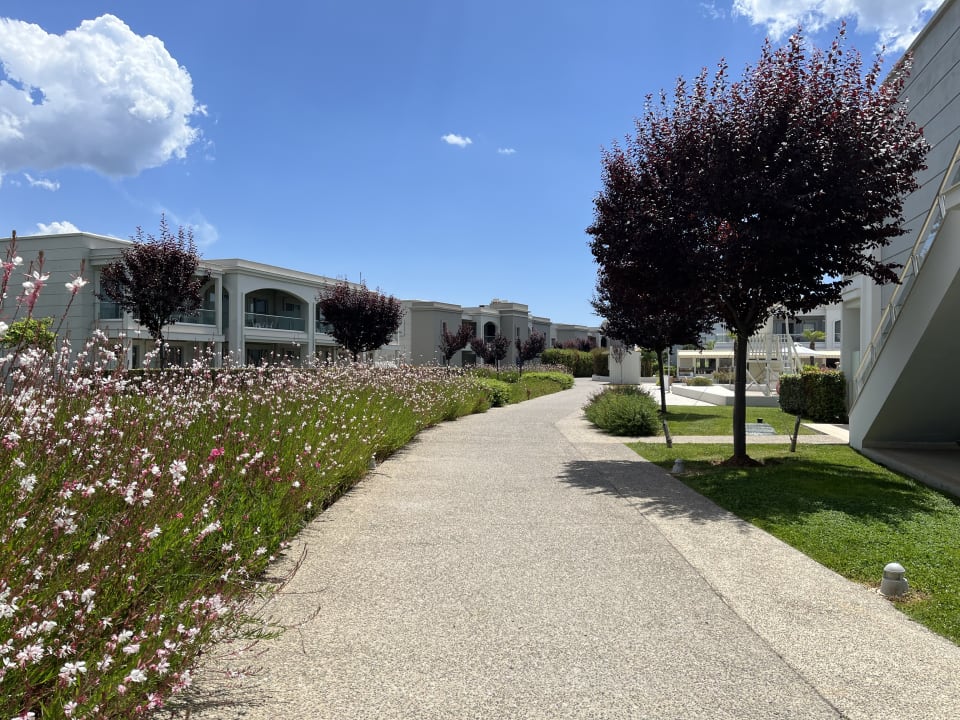 Gartenanlage TUI BLUE Lagoon Princess