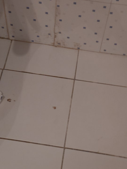 Zimmer Mahdia Palace Thalasso