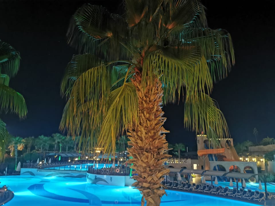 Pool Aydinbey Kings Palace & Spa