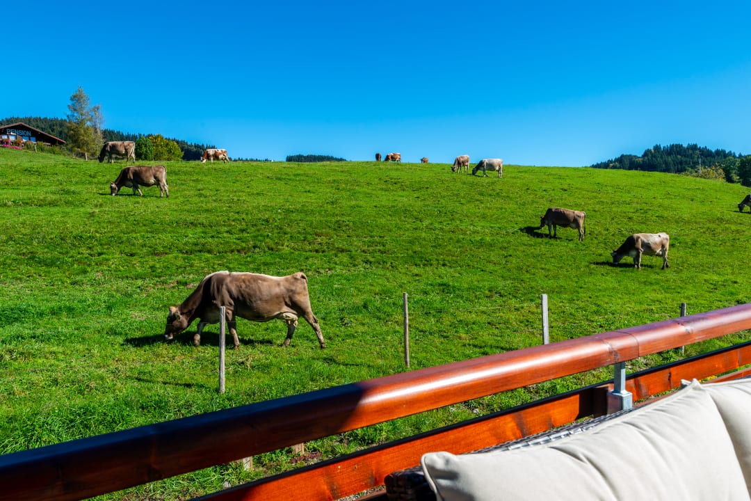 Ausblick Allgäu Vital Oberstaufen