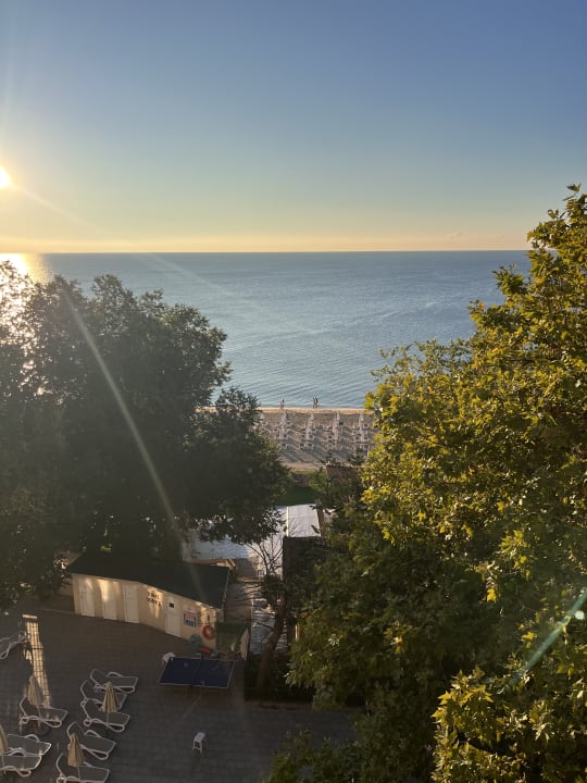 Ausblick GRIFID Vistamar