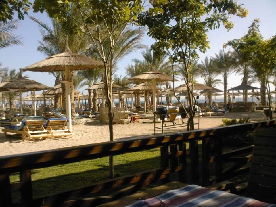 Vom Restaurant aus Beach Albatros Resort