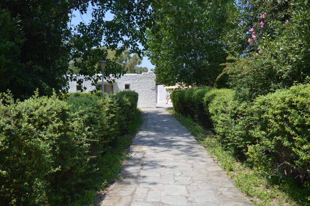 Alejki Hotel Athos Palace