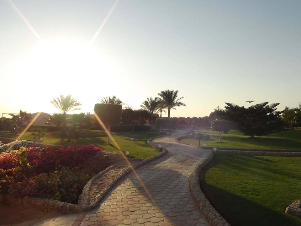 Ogród Three Corners Sea Beach Resort