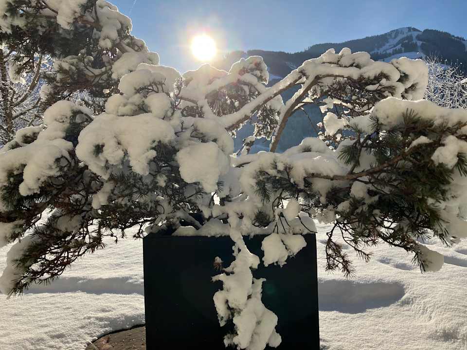 Gastro Hubertus Hotel & Apartments