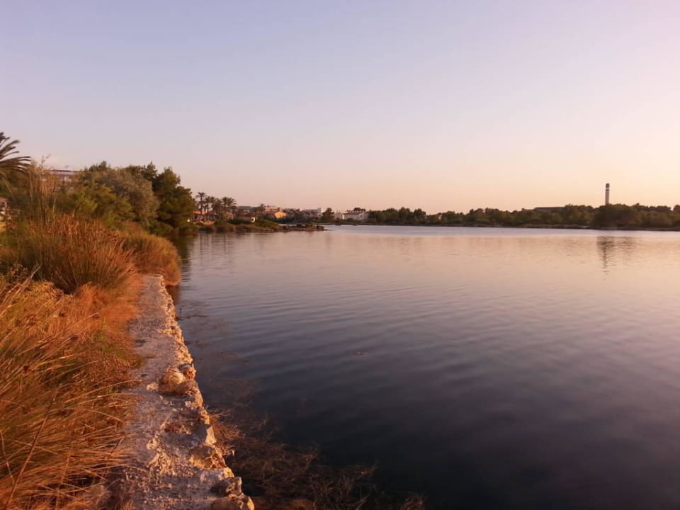 Umgebung Aparthotel Ivory Playa