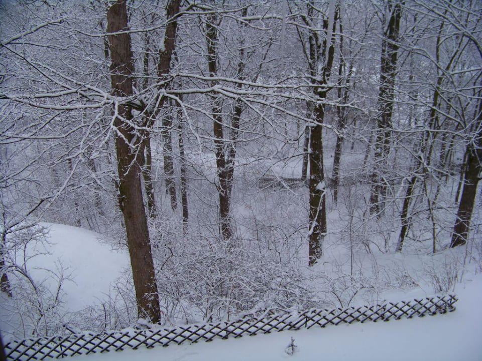 Blick in den winterlichen Waldschlösschenpark Parkhotel Waldschlösschen