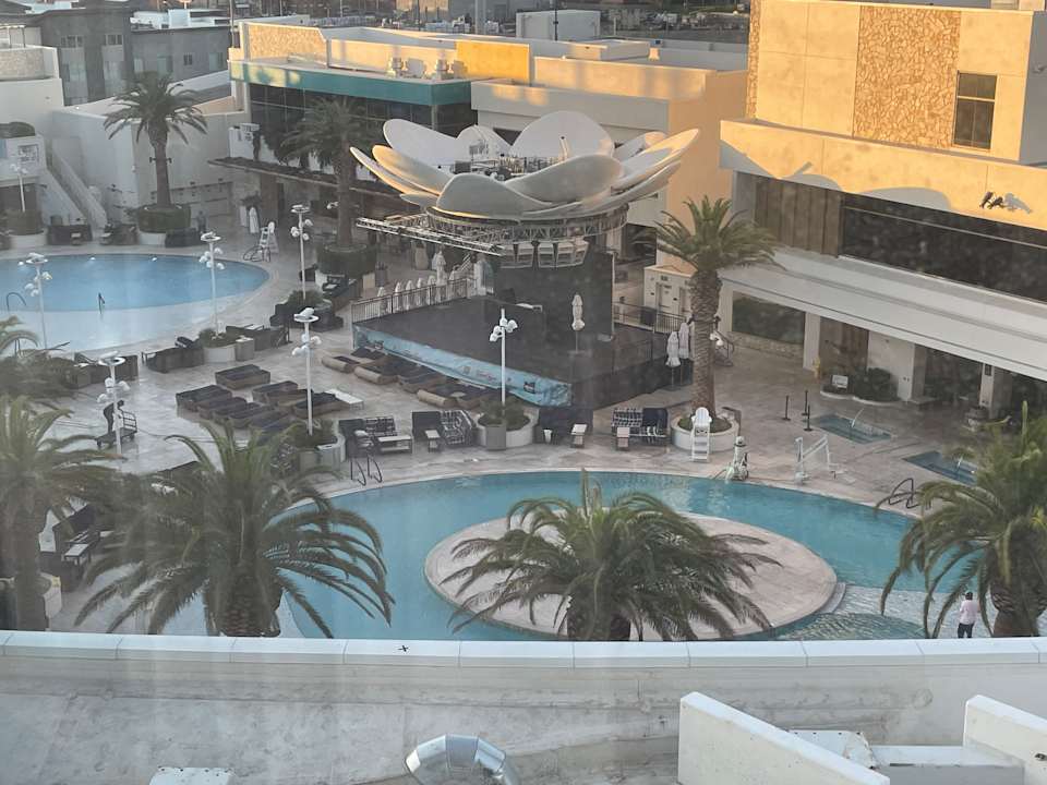 Pool Hotel The Palms Casino Resort