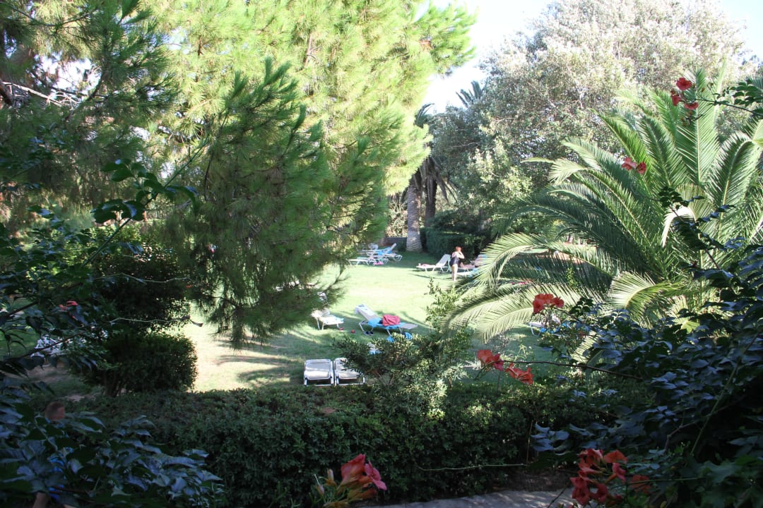 Vu de notre chambre Apollonia Beach Resort & Spa