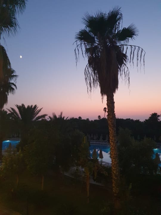 Ausblick Seaden Sea World Resort & Spa