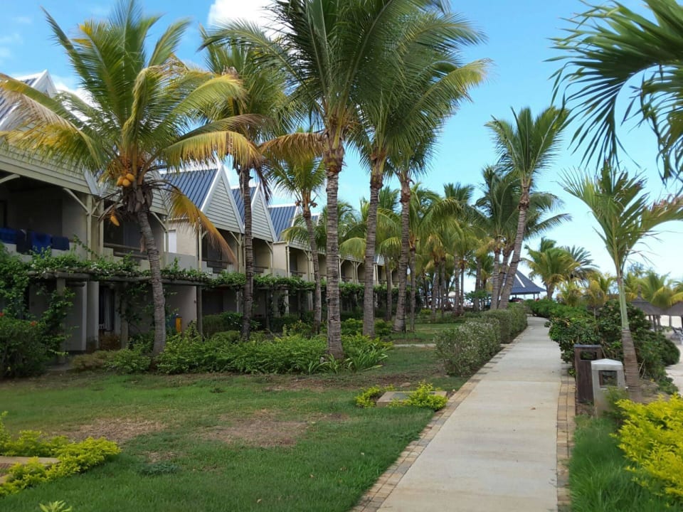 Hotel Anelia Anelia Resort & Spa