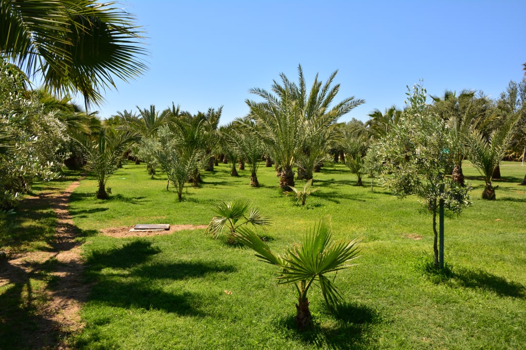 Gartenanlage Seaden Sea World Resort & Spa