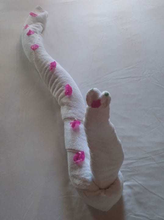 Zimmer Jaz Makadi Oasis Resort