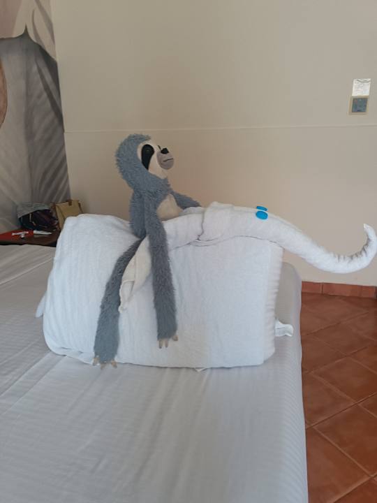 Zimmer Three Corners Sea Beach Resort