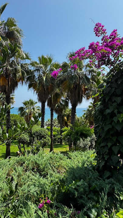 Gartenanlage Hotel Defne Dream