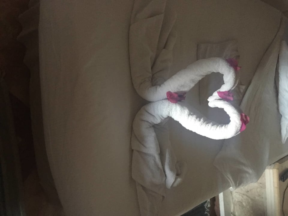 Zimmer Pickalbatros Citadel Resort