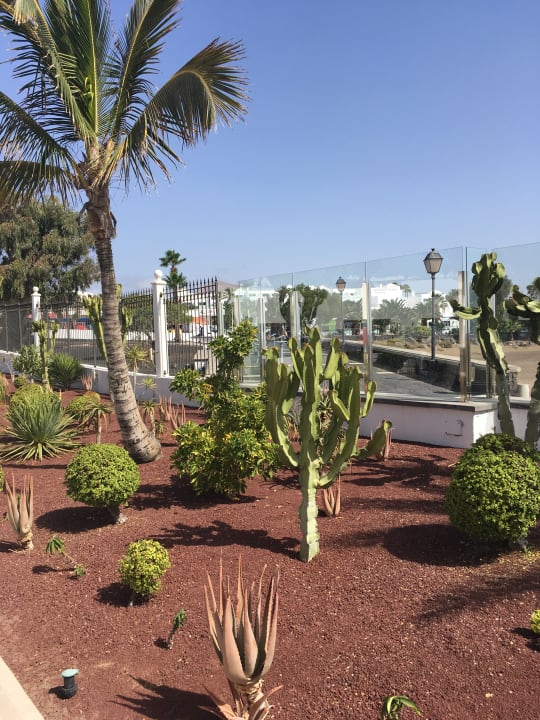 Gartenanlage Hotel Las Costas