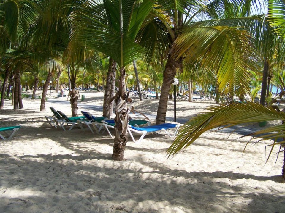 Strand Hotel Riu Bambu