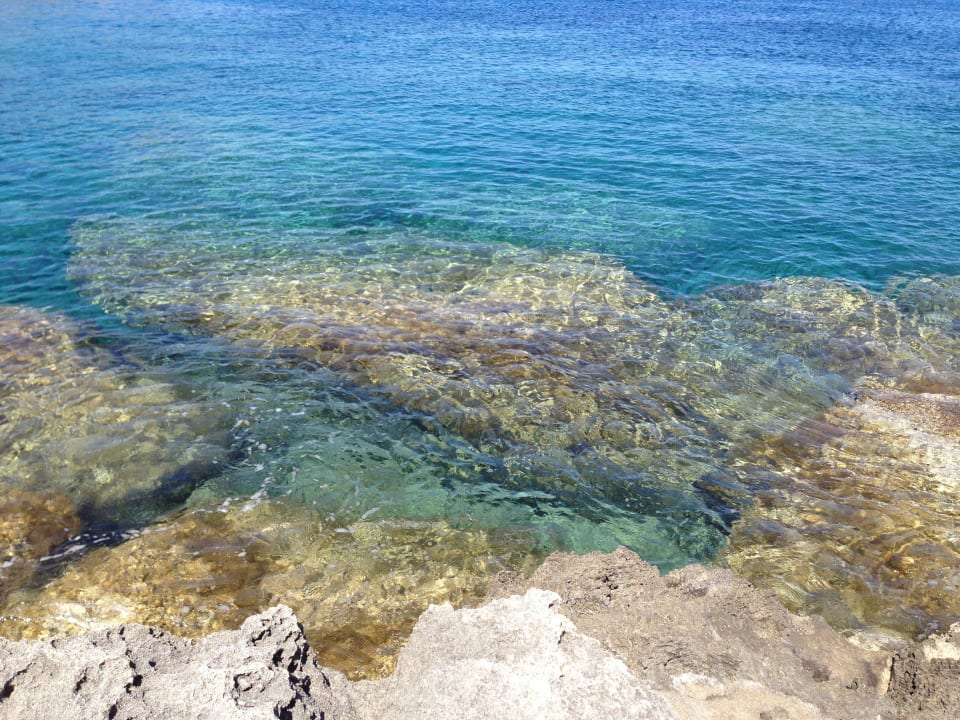 Hoteleigener Strand Hotel Kalithea Horizon Royal