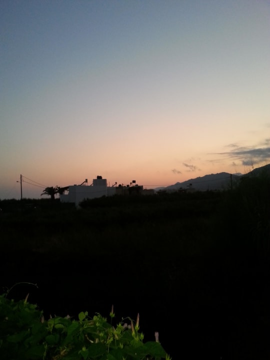 Abends Hotel South Coast