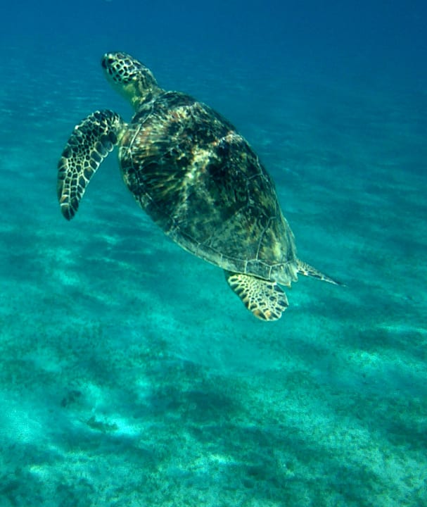 Strand Casa Mare Resort