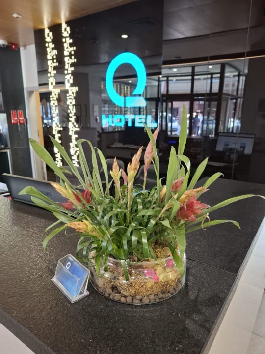 Lobby Q Hotel Plus Katowice