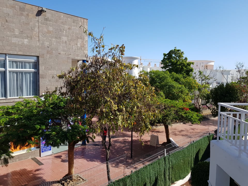 Ausblick LABRANDA Bahía y Villas Fañabé
