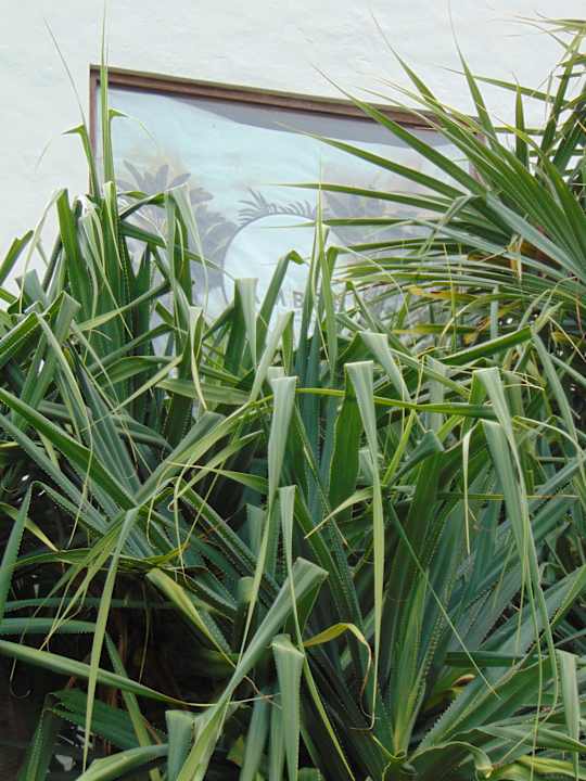Gartenanlage Amber Lombok Beach Resort