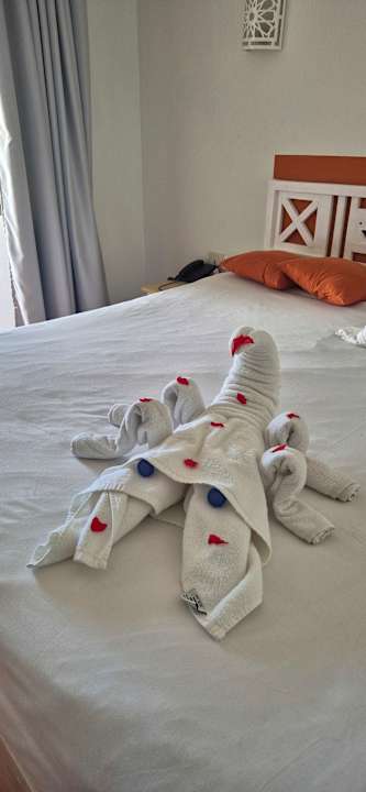 Zimmer JAZ Neo Reef Marsa