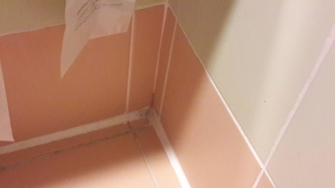 Schlechte Annex Zimmer Limak Limra Hotel & Resort