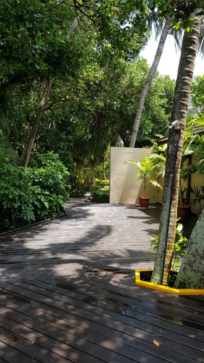 Laufweg Adaaran Select Meedhupparu Island Resort - Premium All Inclusive